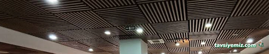 The Vine Organizasyon