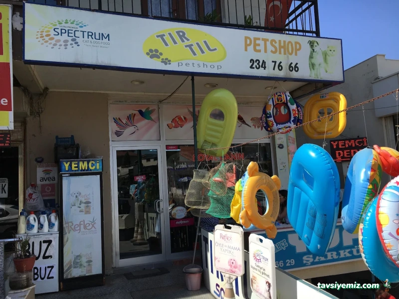 Tırtıl Pet Shop Tırtıl Pet Shop