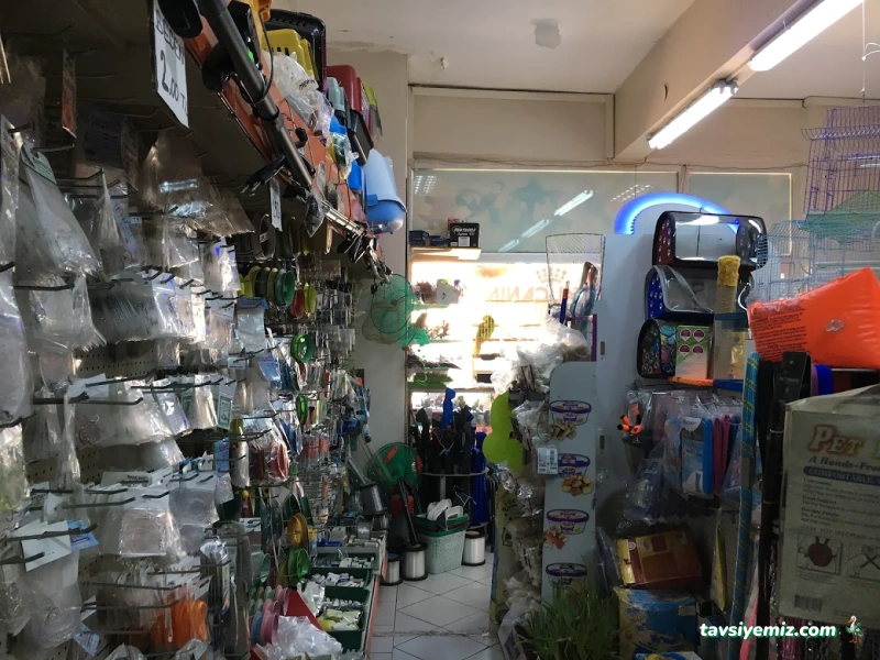 Tırtıl Pet Shop Tırtıl Pet Shop