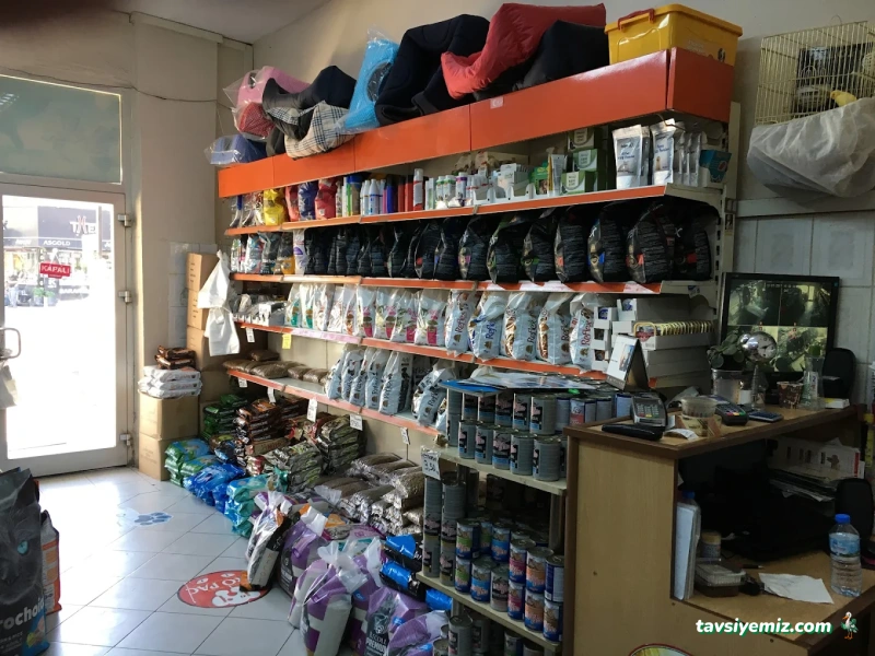 Tırtıl Pet Shop Tırtıl Pet Shop