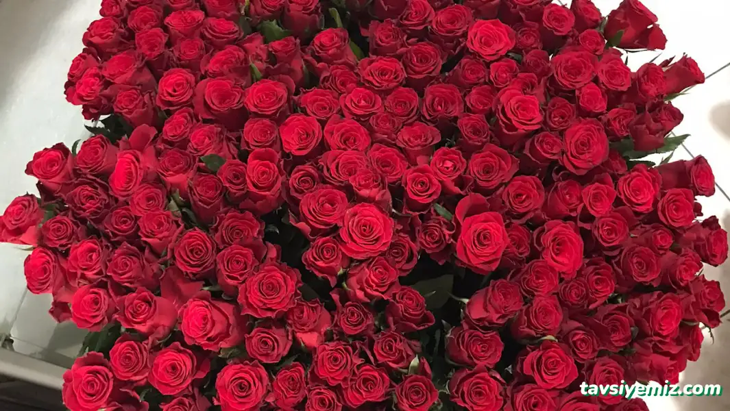 Tokat Berat Çiçekçilik Tokat Berat Çiçekçilik