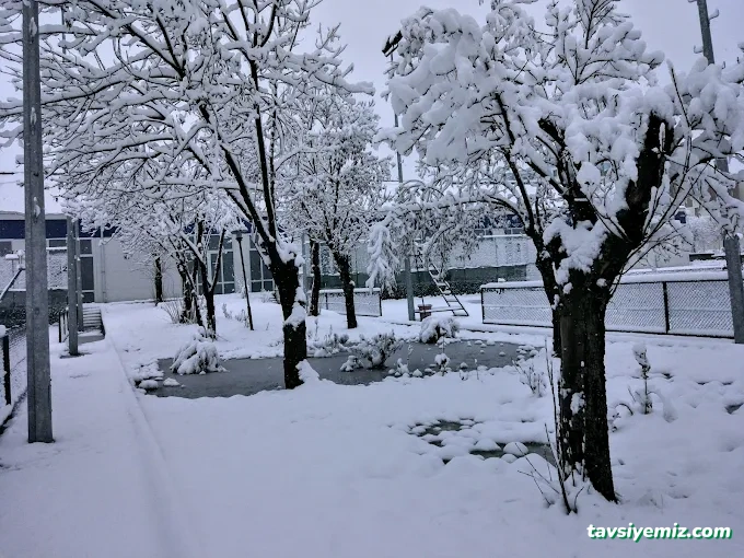 Ttf Tenis Kortları Ttf Tenis Kortları