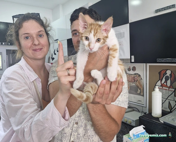 Tülin Hanım Veteriner Kliniği Tülin Hanım Veteriner Kliniği