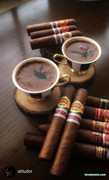 Turan Tobacco Shop Turan Tobacco Shop