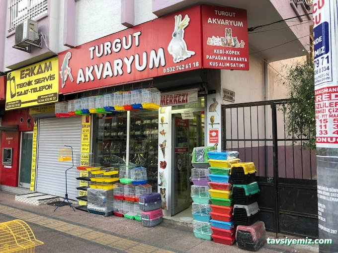 Turgut Akvaryum Turgut Akvaryum