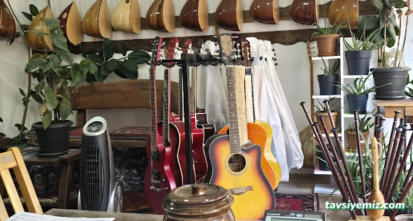 Türkü Sanat Evi Türkü Sanat Evi