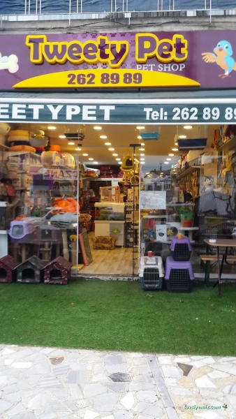 Tweety Pet Tweety Pet