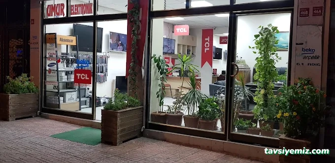 Umur Elektronik