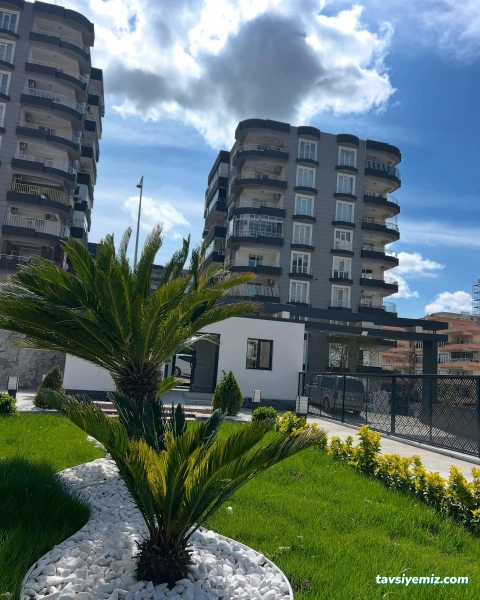 Urfa Kaya Peyzaj Çevre Düzenleme,Süs Bitkileri,Meyve Fidanları Urfa Kaya Peyzaj Çevre Düzenleme,Süs Bitkileri,Meyve Fidanları
