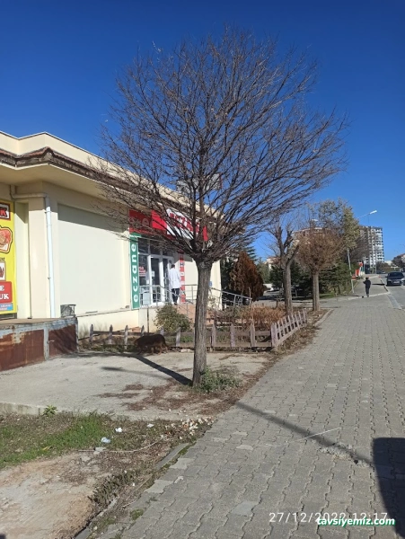 Uşak Ağız Ve Diş Sağlığı Merkezi Uşak Ağız Ve Diş Sağlığı Merkezi