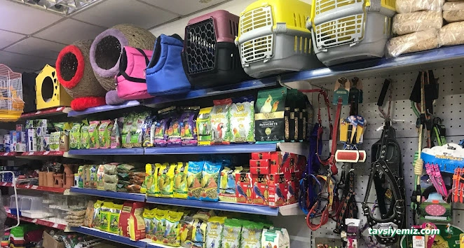 Uşak Casper Petshop Uşak Casper Petshop