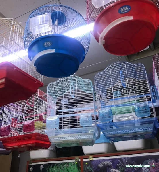 Uşak Casper Petshop Uşak Casper Petshop