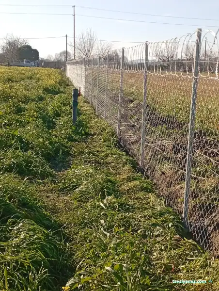 Uzman Tel Çit Peyzaj