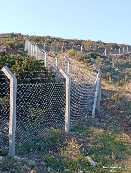 Uzman Telçit Peyzaj