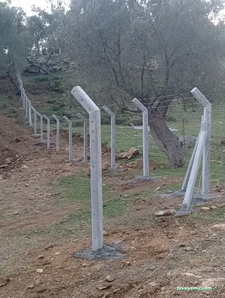 Uzman Telçit Peyzaj