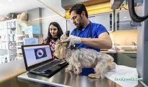 Uzman Veteriner Kliniği Vet. Hek. Mehmet Emre Köse Uzman Veteriner Kliniği Vet. Hek. Mehmet Emre Köse