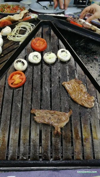 Van Mangal Sarayı Van Mangal Sarayı