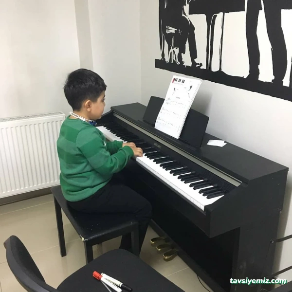 Vega Müzik Kursu Ve Sanat Akademisi Malatya Vega Müzik Kursu Ve Sanat Akademisi Malatya