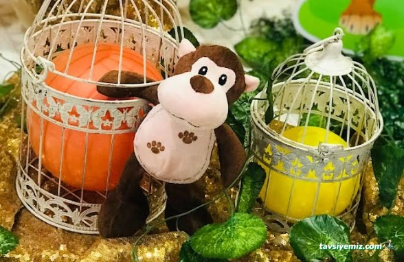 Venedik Organizasyon Şırnak