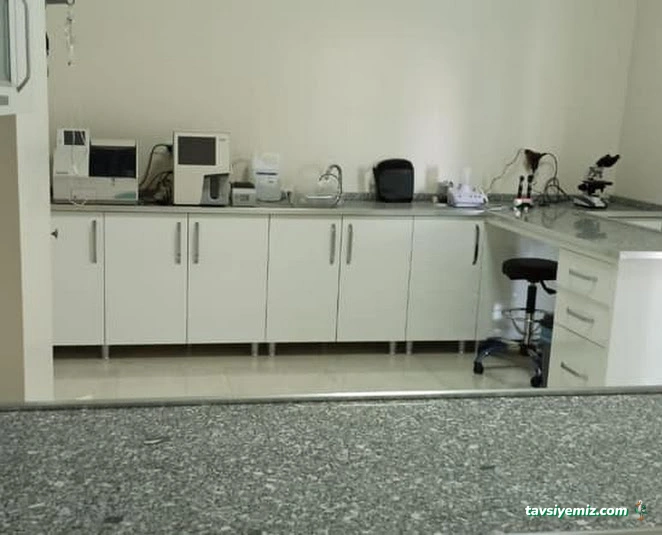 Vetberry Veteriner Kliniği