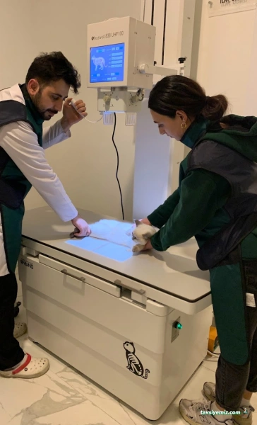 Vethospital Veteriner Kliniği 7/24 Acil Veteriner Bahçelievler Vethospital Veteriner Kliniği 7/24 Acil Veteriner Bahçelievler