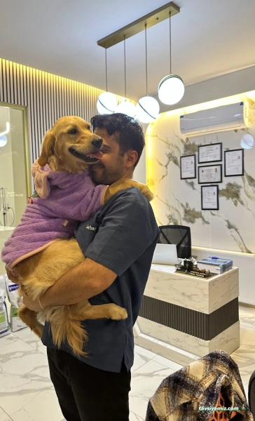 Vethospital Veteriner Kliniği 7/24 Acil Veteriner Bahçelievler Vethospital Veteriner Kliniği 7/24 Acil Veteriner Bahçelievler