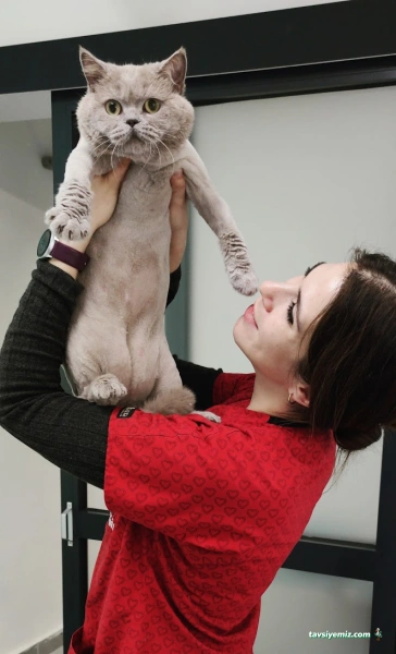 Vetkozyatağı Veteriner Kliniği Vetkozyatağı Veteriner Kliniği