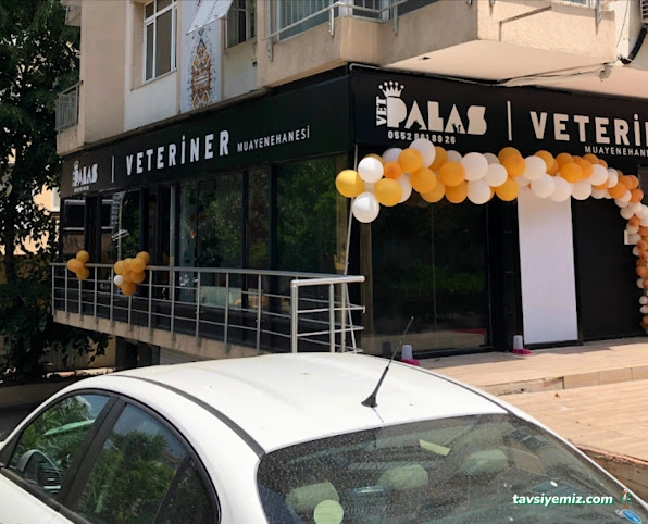 Vetpalas Veteriner Kliniği 7/24 Acil Veteriner Vetpalas Veteriner Kliniği 7/24 Acil Veteriner