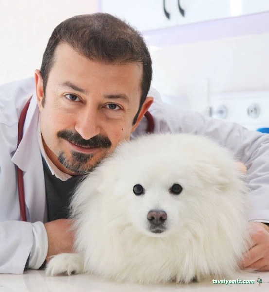 Vetrium Çayyolu Veteriner Kliniği