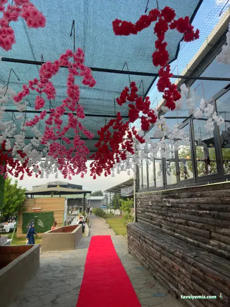 Violet Cafe Restaurant San Tic Ltd Şti