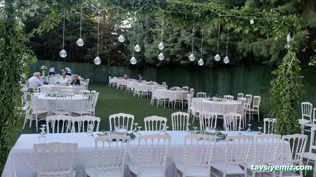 Vip Organizasyon
