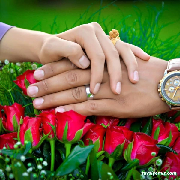 Vizyon Fotoğrafçılık Vizyon Fotoğrafçılık