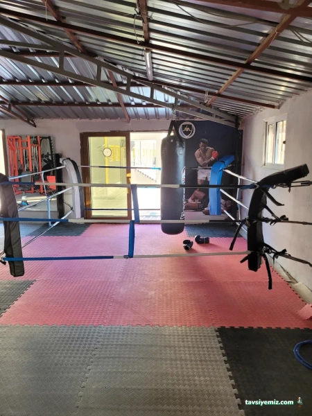 Warriors Sport Academy Warriors Sport Academy