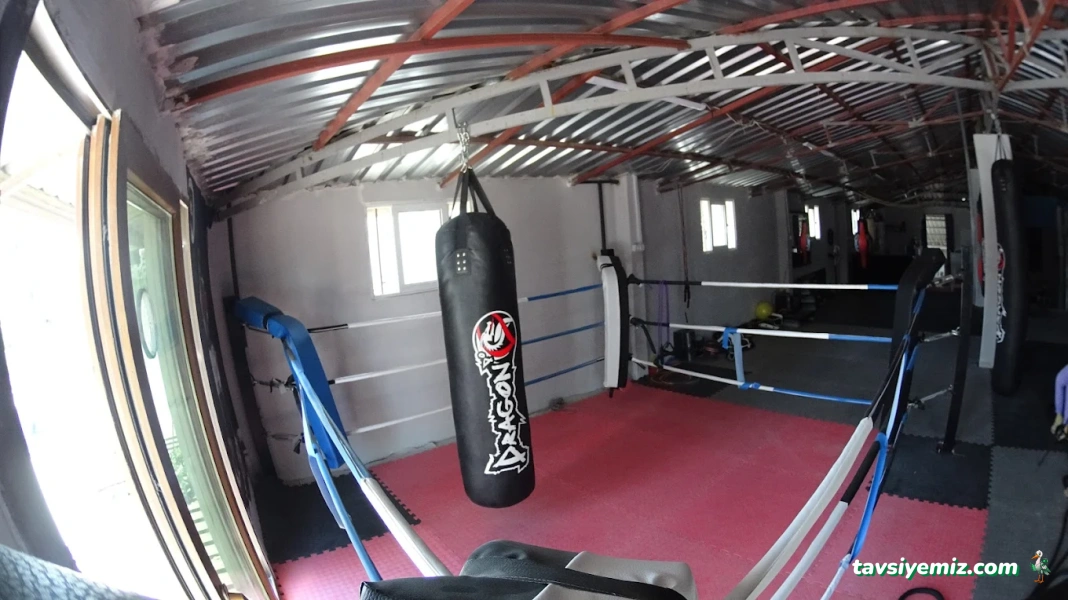 Warriors Sport Academy Warriors Sport Academy