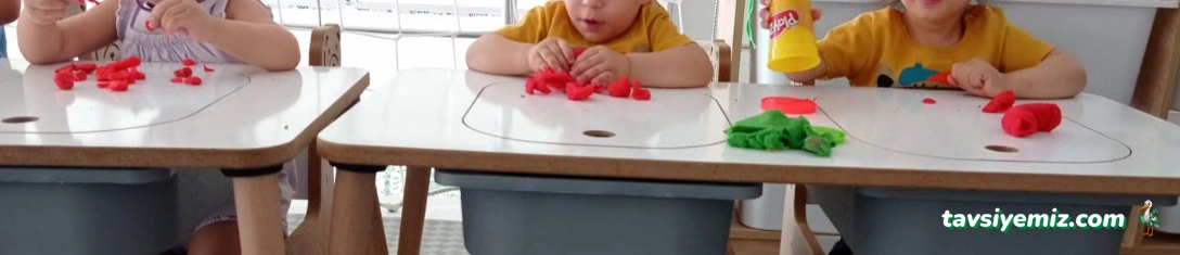 Wooden House Oyun Evi & Cafe