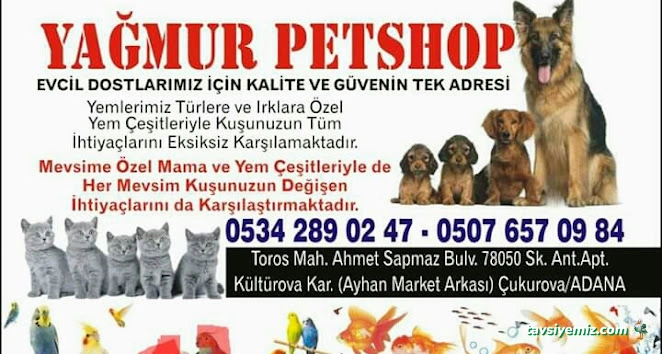Yağmur Petshop Yağmur Petshop