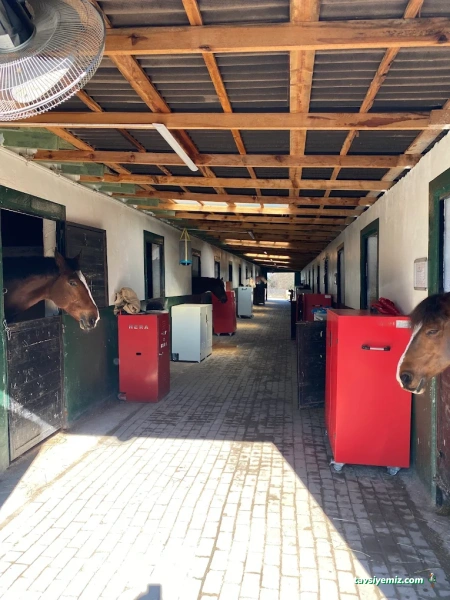 Yalova Atlı Spor Kulübü Yalova Atlı Spor Kulübü