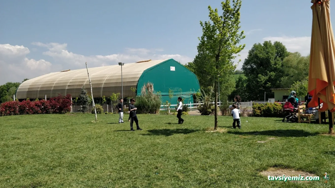 Yalova Atlı Spor Kulübü Yalova Atlı Spor Kulübü