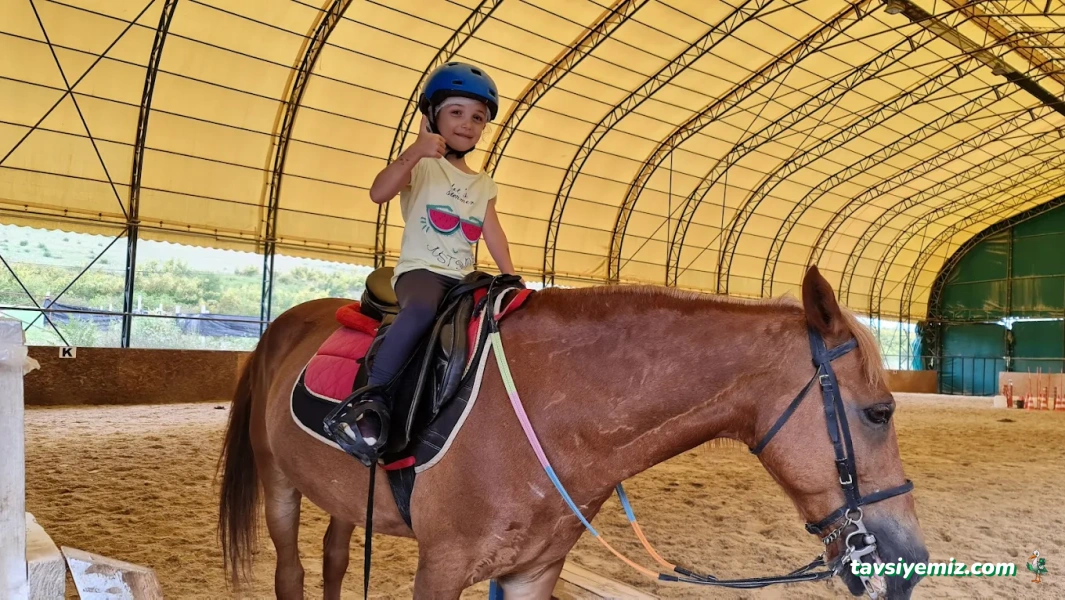 Yalova Atlı Spor Kulübü Yalova Atlı Spor Kulübü
