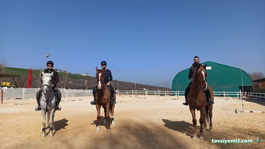 Yalova Atlı Spor Kulübü Yalova Atlı Spor Kulübü