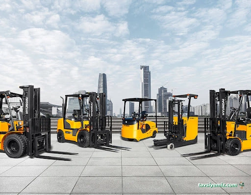 Yalova Vinç Kiralık Forklift