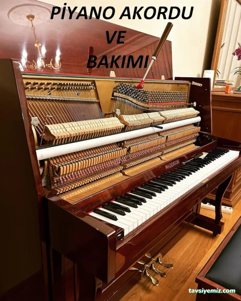 Yama Müzik Yama Müzik