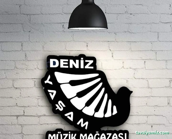 Yaşam Müzik Mağazası Yaşam Müzik Mağazası
