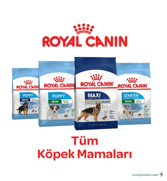 Yaşam Petshop Yaşam Petshop