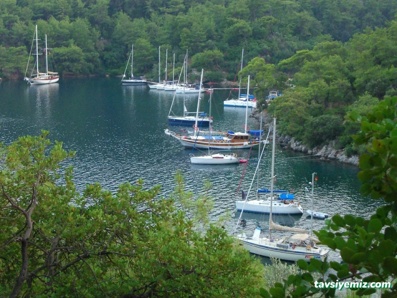 Yelkenli Yatçılık - Yelkenli Yachting Yelkenli Yatçılık - Yelkenli Yachting
