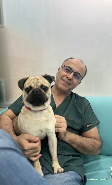 Yenibosna Veteriner Kliniği Yenibosna Veteriner Kliniği
