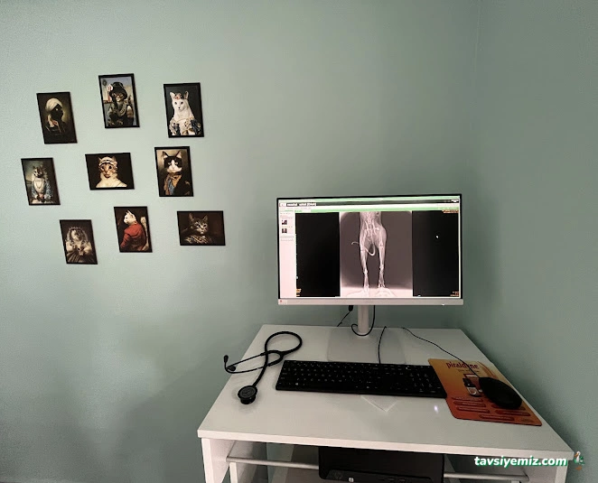 Yenikent Veteriner Kliniği Yenikent Veteriner Kliniği