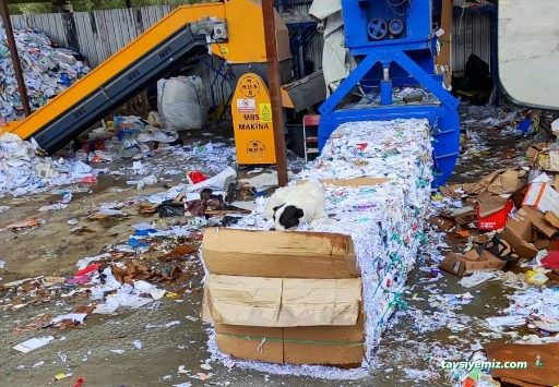 Yörük Geri Dönüşüm