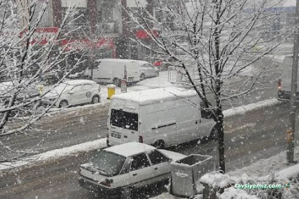 Yurtiçi Kargo Kardüz