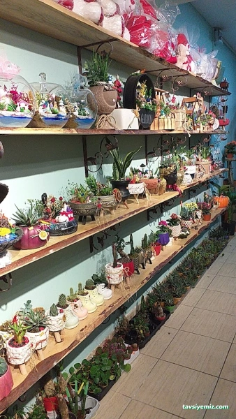 Zeyno Masalı Çiçek Evi Zeyno Masalı Çiçek Evi